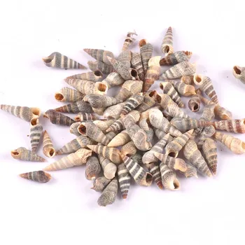 100 adet Doğal şerit Spiral kabuk Scrapbooking Craft deniz kabukları cam şişe ev Dıy dekorasyon TRS0278