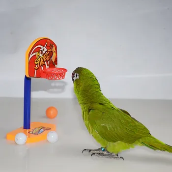 Komik Papağan Kuşlar Oyuncaklar Mini basketbol potası Sepeti Feste Ateş Oyuncaklar Papağan Zeka Bulmaca Oyunu Çiğnemek Oyuncaklar Evcil Hayvan Malzemeleri